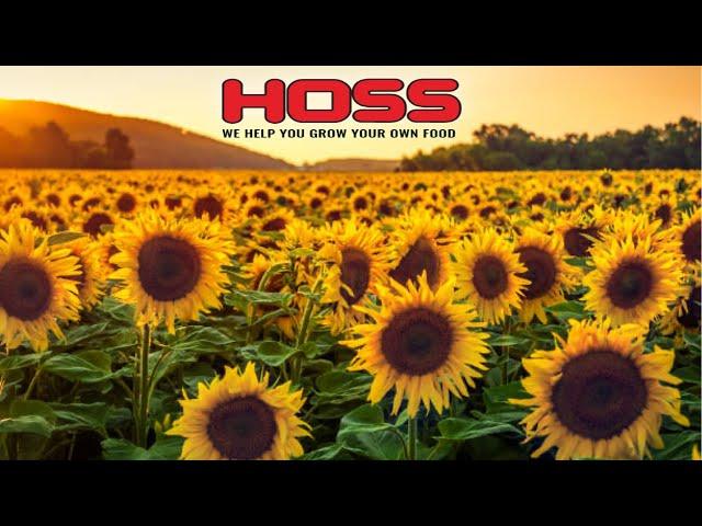 Hoss Tools Unboxing | Grow Giant Sunflowers |