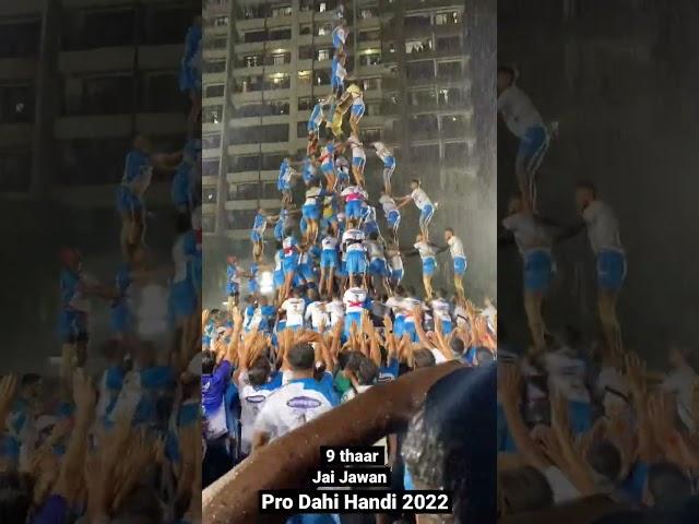 9 thaar Jai jawan pro dahi handi 2022 #dahihandi #thane #2022 #prodahihandi #jaijawaan #utsav