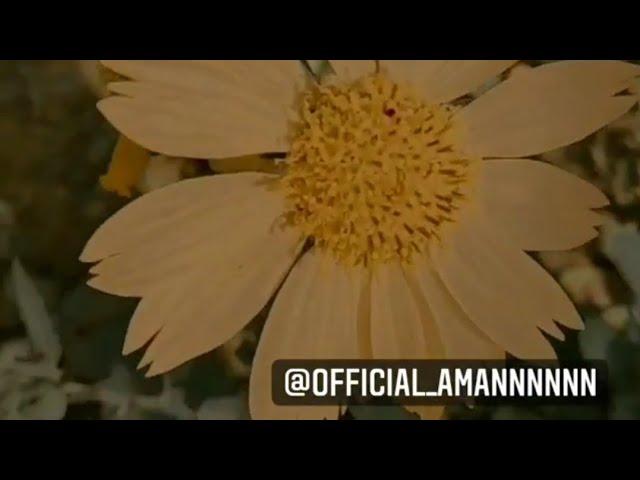 Reels / Instagram / Videography / Pandey ji