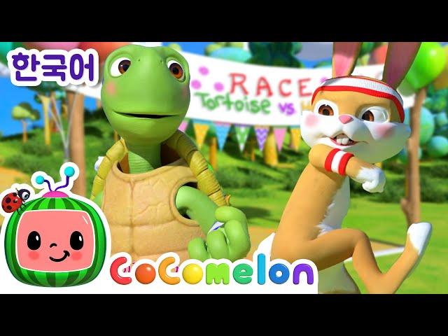 토끼와 거북 | 어린이 교훈 동요 동화 | 코코멜론 동요 & 키즈송 | 코코 멜론 인기 동요 | CoComelon