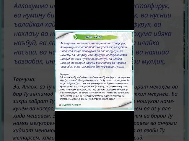 Дуои қунут