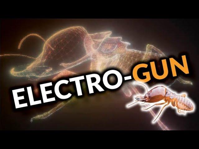 Electro Gun: The No-Chemical Termite Solution