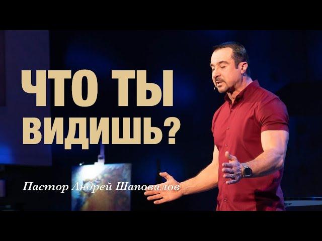 «Что ты видишь?» Пастор Андрей Шаповалов