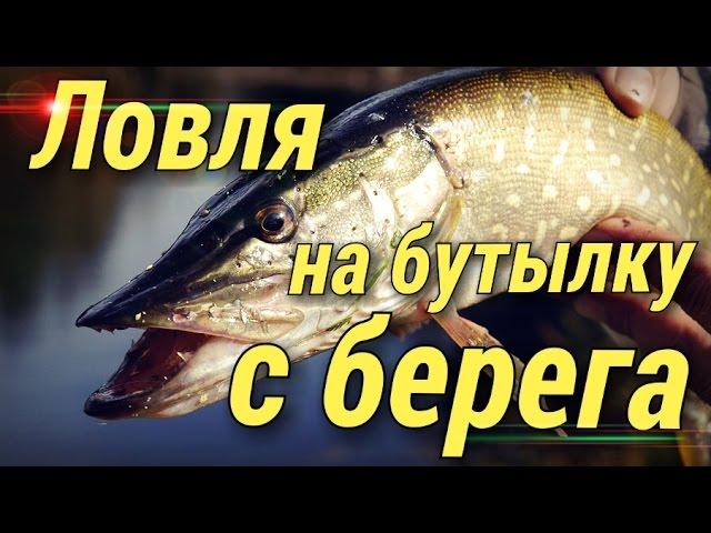 Бутылка-закидушка.Ловля на бутылку с берега.ЩУКА.СУДАК.НАЛИМ