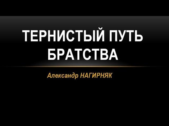 Тернистый путь братства || Семинар Александр Нагирняк || 14 октября, 2024