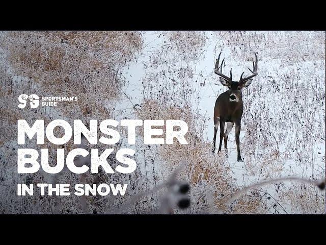 Monster Bucks In The Snow | Monster Bucks Moments presented by Sportsman's Guide