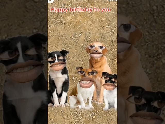 Happy birthday story  #funny #sursjrox #funnycomedy #shortvideo #fun #cartoon #comedy #amazing