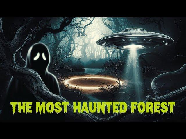 "Hoia Baciu Forest: The Bermuda Triangle of the Woods | Paranormal & UFO Mysteries"