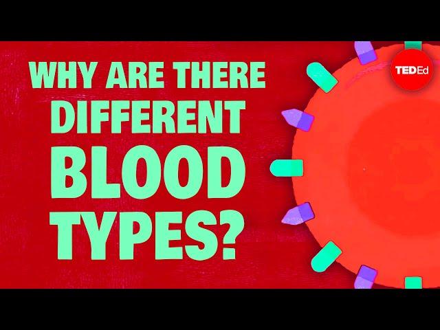 Why do blood types matter? - Natalie S. Hodge