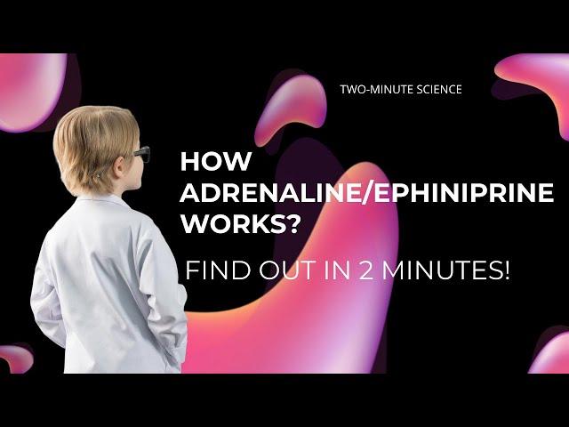 How Adrenaline/Epinephrine Works? How Adrenaline Affects the Body?