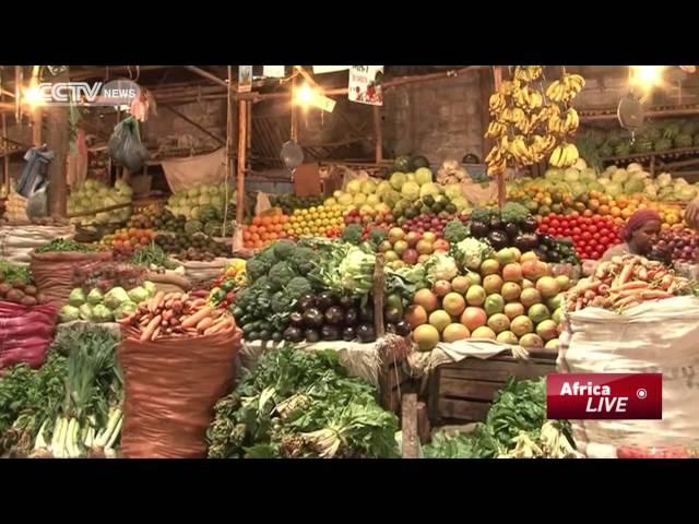 Ethiopia's Economic Growth  to Reduce Poverty