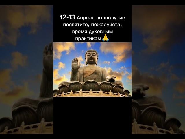 Будда почитаемый в мирах #йога #медитация #освобожнение #осознанность #бодхи #саттва #силасознания