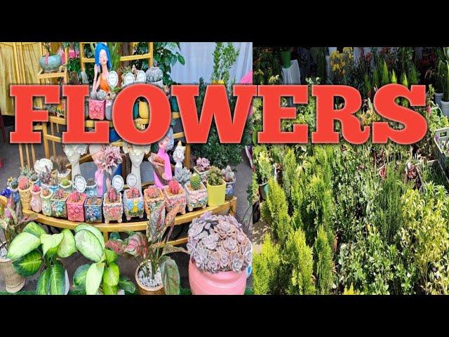 The World's Biggest Flower Garden || BS VLOG