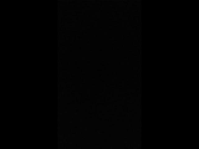 공지 (설참) (3개)