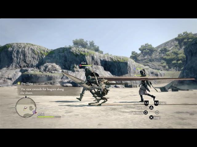 Dragon's Dogma: Dark Arisen Ps4 texture glitch