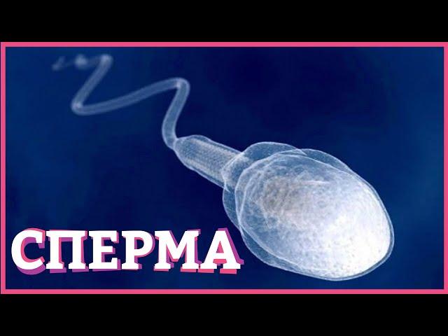 ФАКТЫ ПРО СПЕРМУ – Вредна ли сперма, глотать или не глотать? [Secrets Center]