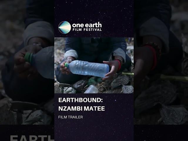  Prepare to be inspired by the incredible story of "Earthbound" 