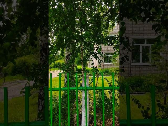 Моя школа  My school