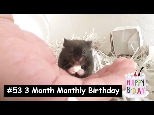 mila #53 3 Month Monthly Birthday ３ヵ月のマンスリーバースデー