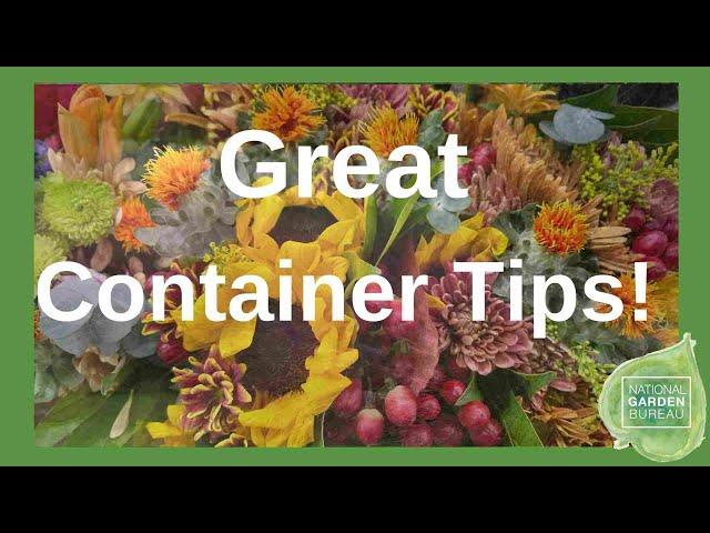 Fall Fantastic: Expert Fall Container Garden Tips with Joan from Ball Seed