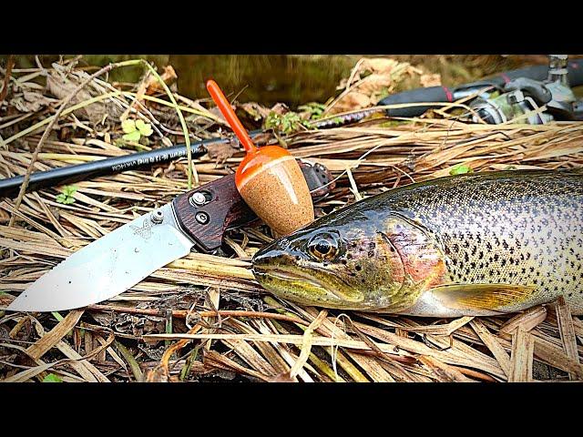 Cutthroat Trout Catch & Cook | 4K | Washington