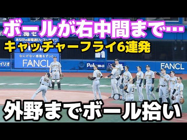 【今日はノック絶不調や…】まさかの右中間フェンス手前までキャッチャーフライを飛ばしてしまった筒井コーチ。ボールを拾ってきた熊谷に阪神ナインがお疲れさまの拍手