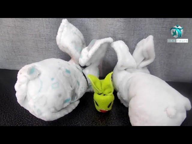 Cute Bunnies / DIY 