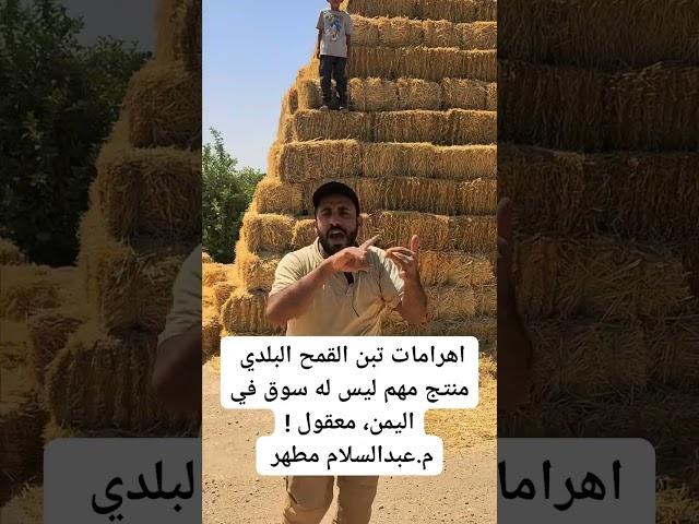 تبن القمح اليمني: أهرامات الجوف المهجورة.. قصة ثروة ضائعة!