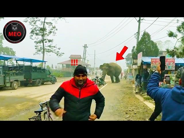 100 Incredible Moments Caught on Camera (P98)