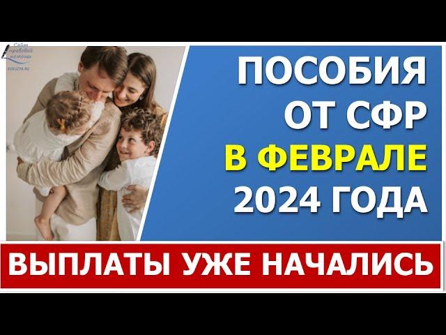 Пособия на детей уже приходят в ФЕВРАЛЕ 2024 года