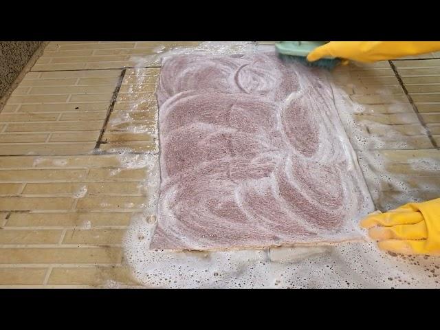 Hand Brushing Carpets is So satisfying | Pleasure Rug Cleaning ASMR