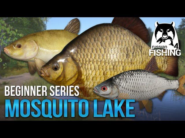 [Lvl 1-15] Mosquito Lake! 2022 Starting Equipment & Recommendations! (Ep. 2) l Russian Fishing 4