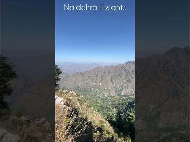 Naldehra Heights Shimla | Places near to Leisure Nest Hospitality #shorts