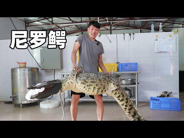 How crocodile meat tastes