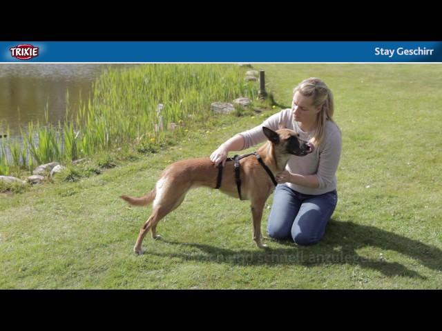 The Stay harness for skittish dogs - TRIXIE Heimtierbedarf