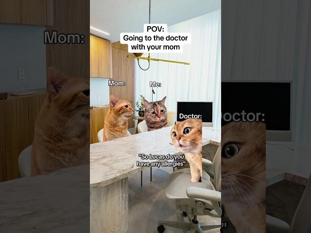 CAT MEMES Going to the doctor with your mom #catmemes #relatable #relationship