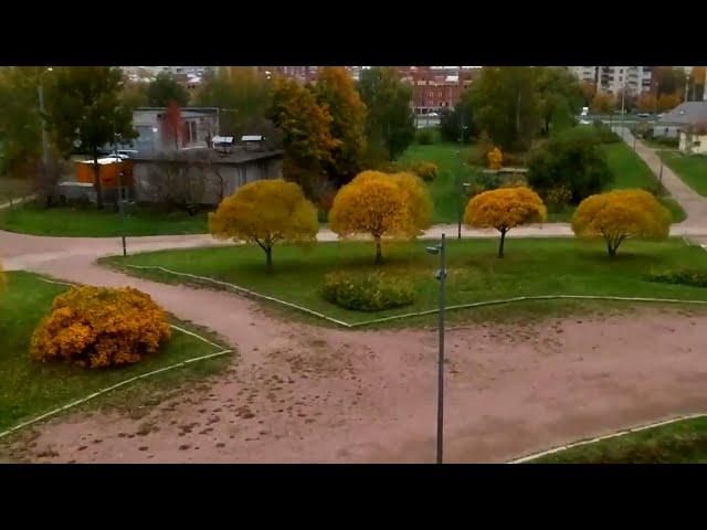 Парки Санкт-Петербурга, осень 2021. Saint-Petersburg city parks, autumn 2021.