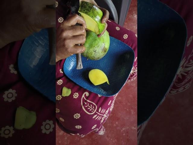 കൂമ്പ് തോരനും ചമ്മന്തിയും  #keralanews #food #family #minivlog #blog #keralamedia