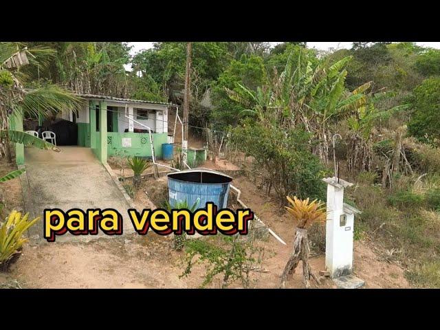 sítio para vender em Serra Negra bezerros pe