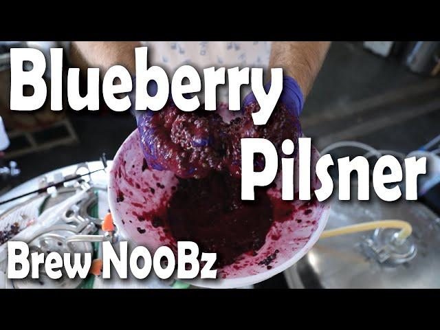 Blueberry Pilsner Grain to Glass | N00b Brewers | Pro Critique