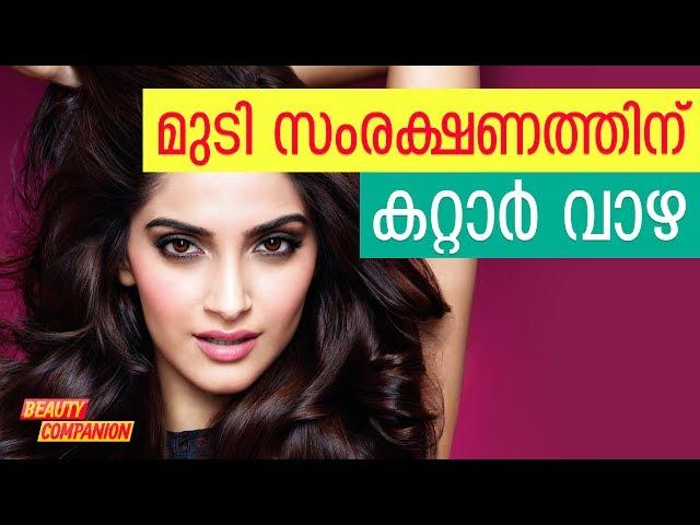 മുടി സംരക്ഷണത്തിന് കറ്റാര്‍വാഴ | Beauty Companion Malayalam