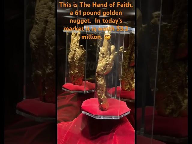 What does a 61 pound gold nugget look like? #amazing #gold #lasvegas