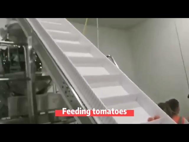 Tomato Box Filling Packing Machine