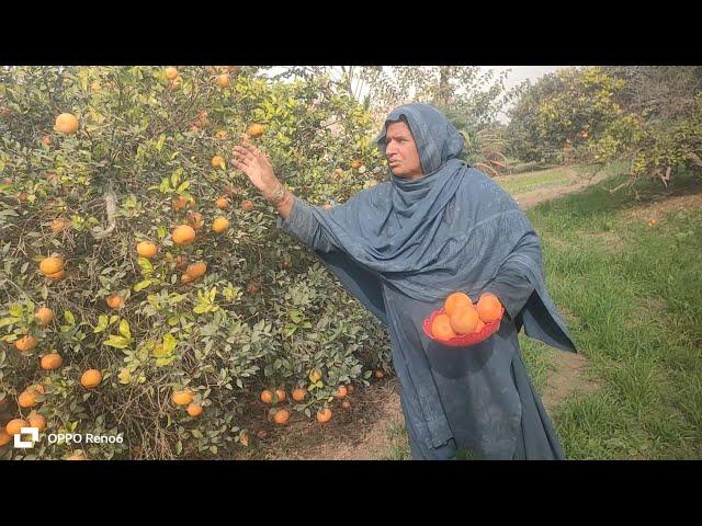 daily routine work in my house village life Punjab Pakistan