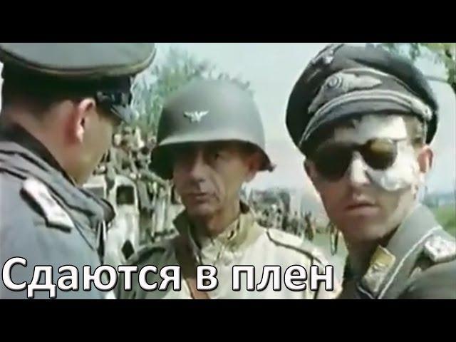 Части немецкой армии сдаются в плен (цвет)