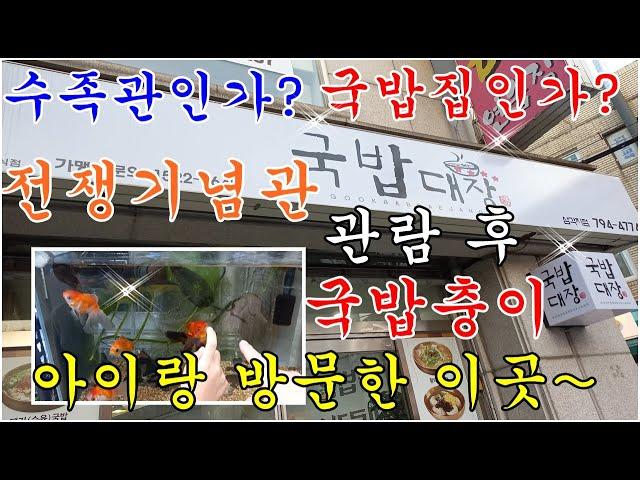 {전쟁기념관/삼각지역 맛집 국밥 대장}수족관이 있는 국밥집?? 전쟁기념관 관람 후 국밥충이 아이랑 밥먹으러가면 좋아요~삼각지역 맛집~전쟁기념관 맛집~용산 맛집~{War Memori