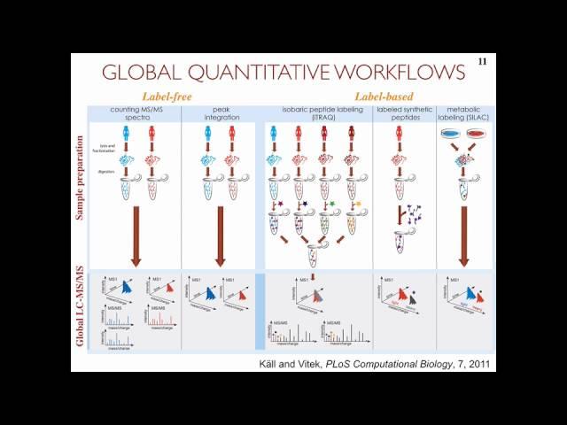 Olga Vitek: MSstats: an R package for quantitative MS-based proteomic experiments