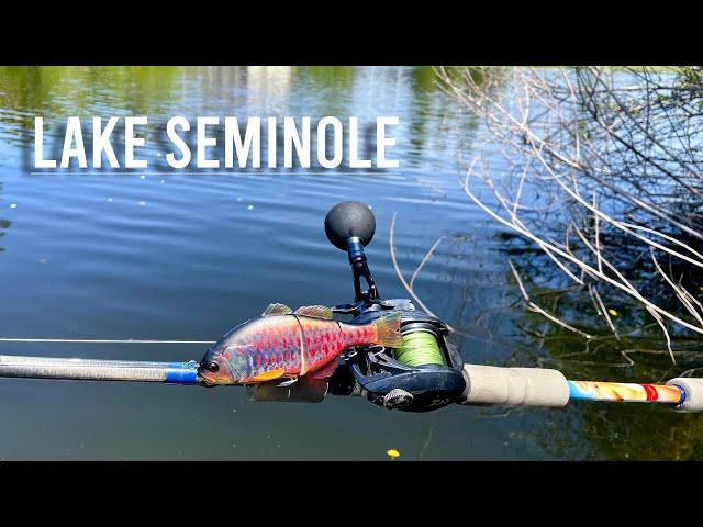 Bass Fishing florida canals!