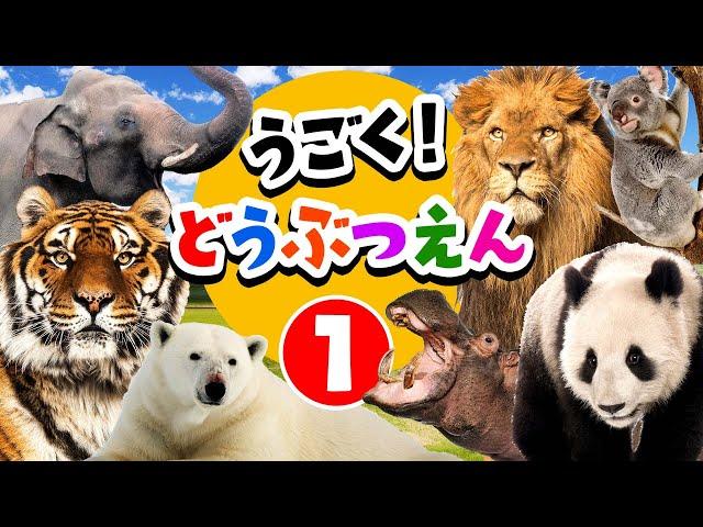 【動く動物園の生き物たち①】サファリカーに乗って色んな動物を探しに行こう！