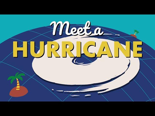 Meet a Hurricane